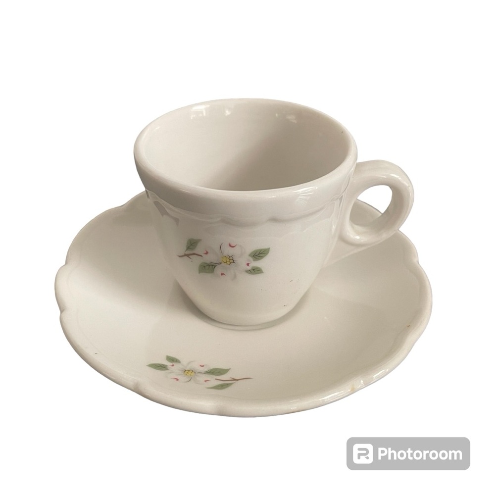 Vintage Buffalo China Cup and Saucer Dogwood Apple Blossom Demitasse W-12